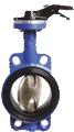 Butterfly and gate valves